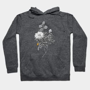 Black and Gold Leaf - Blooming Ventenat's Rose - Vintage Botanical Hoodie